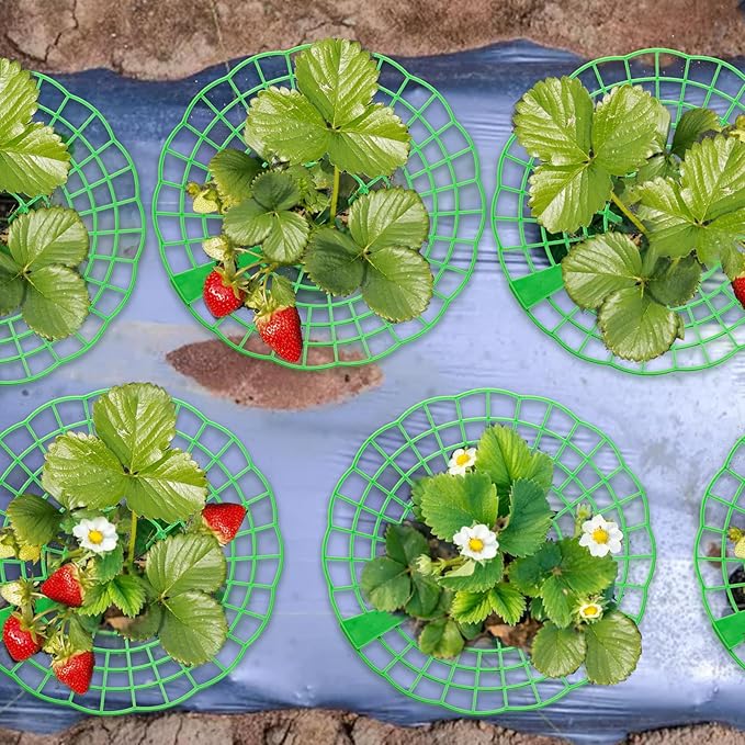 20 Pack Strawberry Supports, Strawberry Plant Stand With 3 Sturdy Legs, Strawberry Growing Racks, Strawberry Growing Frame Holder Cage, Keeping Berries Clean