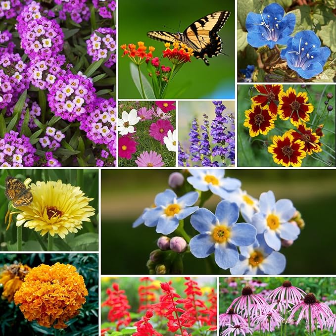Wildflower Seeds Bulk, 1/4 lb, 100,000+ Seeds, 26 Variety Mix with Zinnia, Milkweek Seed, Attracts Pollinators, Plant in Spring or Fall, Zones 3, 4, 5, 6, 7, 8, 9, 10