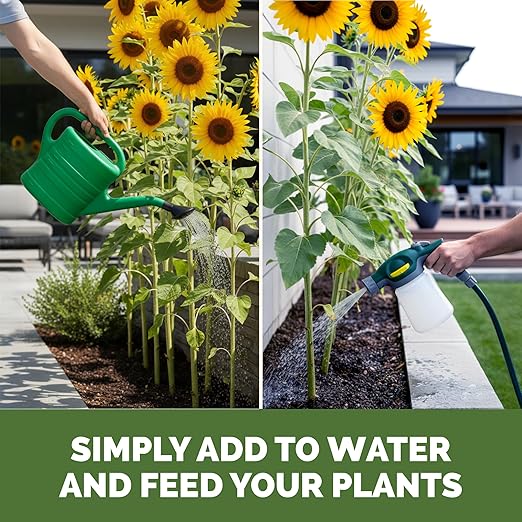 Sunflower Fertilizer – Liquid Plant Food for Bigger Blooms, Strong Stems & Vibrant Flower Color, 32 oz