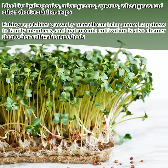 1 Roll 10" X 236"Microgreen Grow Mat, Hydroponic Grow Pads Natural Fiber Grow Mats, Microgreens Growing Kit, Indoor Organic Production for Wheatgrass Sprouts Starter Tray