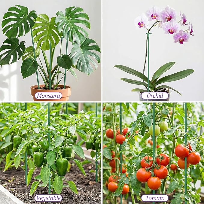 20 Pack Adjustable Plant Support Stakes,Orchid Stakes and Clips,Plant Holder Stick for Garden,Plants Supports for Tomato Rose Outdoor Indoor Plants(with 10 Extenders)