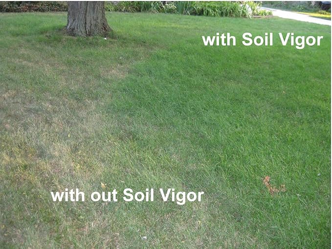 Water Storing Crystals – Commercial Grade Soil Additive & Moisture Retainer – Potassium Polyacrylate Super Absorbent Polymer for Plants, Gardens & Lawns (10)