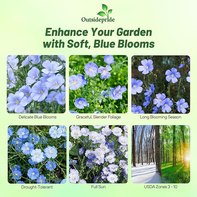 Outsidepride Blue Flax Seeds - 5 lbs Perennial Flower Seeds for Planting, Self-Seeding, Drought-Tolerant w/Compact Growth, Ideal for Small Gardens, Meadows, Borders, or Mass Plantings