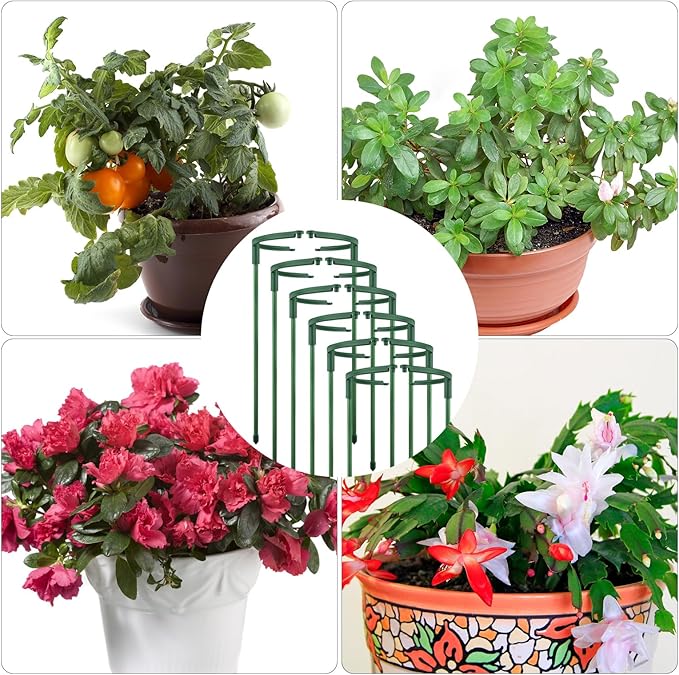 24 PCS Plant Support Stakes, Stackable 3 Tier Garden Flower Support, Half Round Plant Stakes, Tomato Cages, Trellis Support Rings for Climbing Plants Vegetables Flowers Fruits