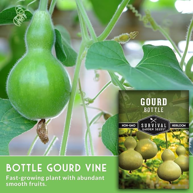 Bottle Gourd Seed for Planting - 3 Packets with Instructions to Plant & Grow Birdhouse or Calabash Gourds in Your Home Vegetable Garden - Non-GMO Heirloom Variety - Survival Garden Seeds