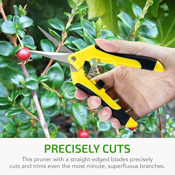 iPower 4Pcs 6.5'' Pruning Shears for Gardening Hand Pruner Trimming Scissors with Straight Stainless Steel Blades for Bonsai, Herb, Bud, Hedge, Yellow