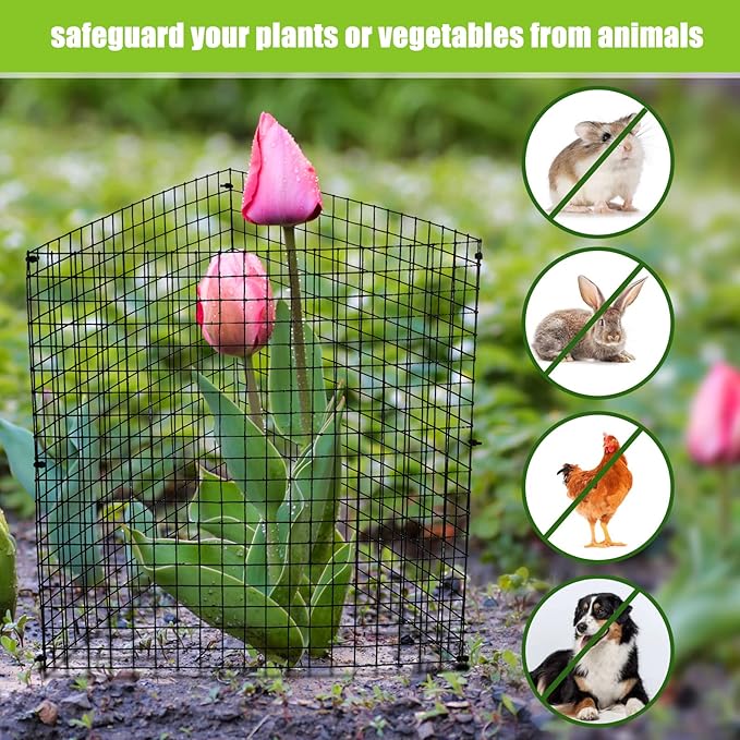 Zubebe 14 Pack Small Wire Plant Protectors Square Plant Protectors from Animals Mesh Cage Chicken Wire Cloche for Shrubs and Vegetables with Ground Stakes and Nylon Ties (12 x 12 Inch)