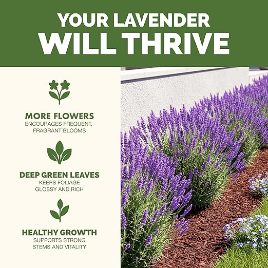 Lavender Fertilizer – Liquid Plant Food for More Blooms, Stronger Roots & Healthy Growth, 8 oz
