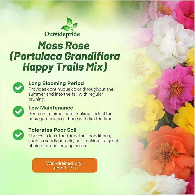 Outsidepride Mixed Moss Rose Seeds - 500 Pcs Annual, Drought & Heat Tolerant, Pollinator Friendly Ground Cover Seeds for Planting w/Vibrant Blooms & Succulent Foliage, Ideal for Xeriscaping