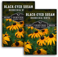 Black-Eyed Susan Seeds for Planting Outdoors - Perennial Native Wildflower - Heirloom Rudbeckia Hirta for Pollinator Gardens - Survival Garden Seeds (2 Packs)