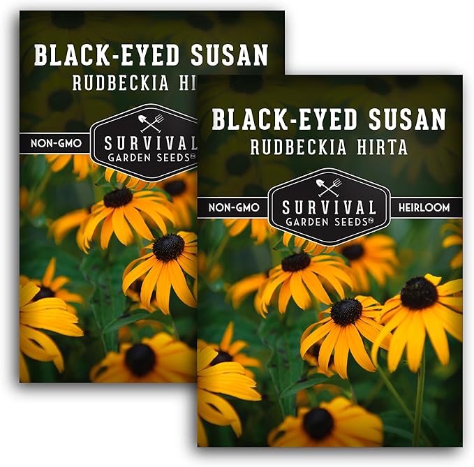 Black-Eyed Susan Seeds for Planting Outdoors - Perennial Native Wildflower - Heirloom Rudbeckia Hirta for Pollinator Gardens - Survival Garden Seeds (2 Packs)