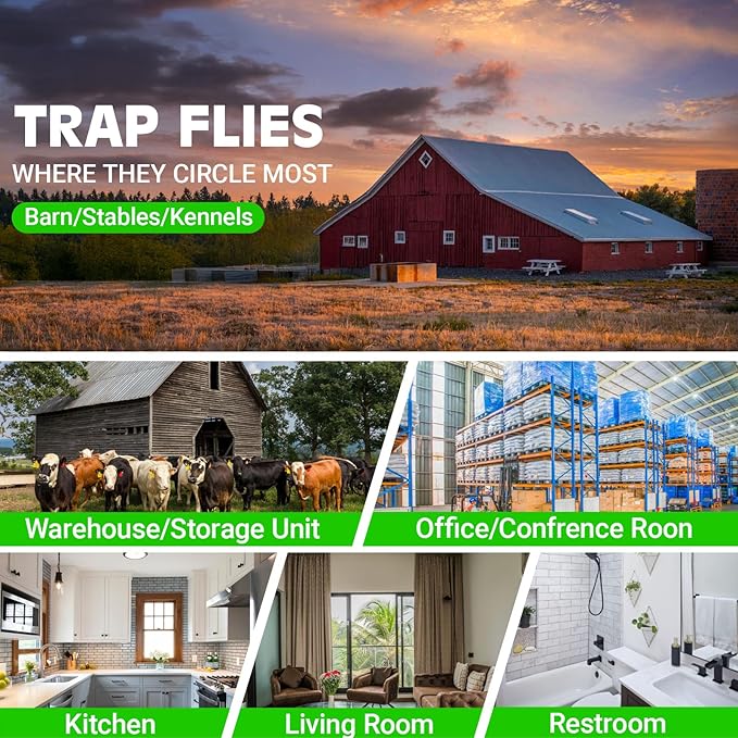 100 Pack Window Fly Traps Sticky Non-Toxic Clear Fly Paper Indoor for Home. No Mess Flies Window Sticky Traps Bug Flies Strips Indoors
