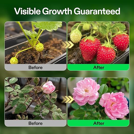 VIVOSUN Liquid Nutrients Base A & B Bundle, Grow Big Hydroponic Fertilizer, Supports Vegetative and Flowering Stages for Outdoor, Indoor Plants, Best Plant Food, Set of Quarts (Pack of 2)