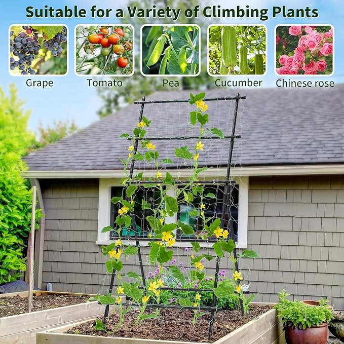FOLLOOK Garden Trellis for Climbing Plants, 6ft Cucumber Trellis for Raised Bed, Pea Grape Vine Tomato Trellis Cattle Panel A Frame Vegetable Plant Support Outdoor for Backyard, Black