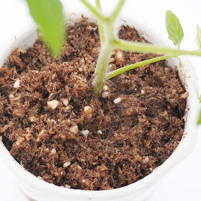 2 Quarts Lightweight Tomato Potting Soil, Premium Potting Soil Outdoor and Indoor, Long-Lasting Moisturisation and Fast Drainage