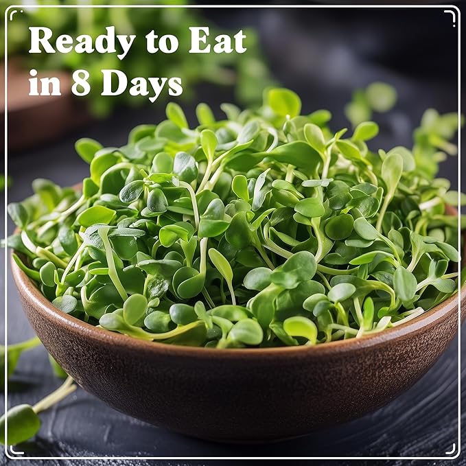 Seedboy Organic Sunflower Seeds for Sprouting - Non-GMO, USA Grown Microgreens Sprouting Seeds Mix - Makes 4 Quarts of Sprouts, 16 Servings (8 oz) (Black Oil Sunflower)