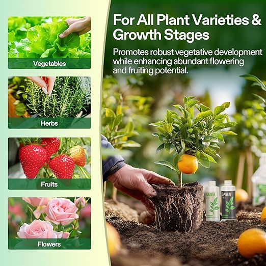 VIVOSUN Liquid Nutrients Base A & B Bundle, Grow Big Hydroponic Fertilizer, Supports Vegetative and Flowering Stages for Outdoor, Indoor Plants, Best Plant Food, Set of 8oz (Pack of 2)