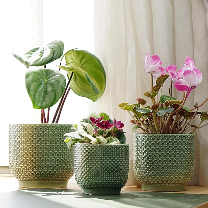 4 + 5 + 6 Inch Ceramic Pots for Indoor Plants, Succulents Plant Pots, Orchid Flower Pot with Drainage Hole, Modern Clay Stoneware Planters, Set of 3 (Green, 4+5+6 Inch)