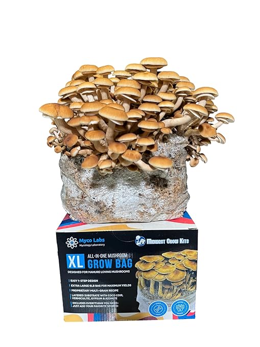 Myco Labs All-in-One Mushroom Grow Bag for Manure Loving Mushrooms + Spore Germination Jar! (6LB)