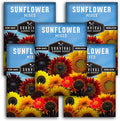 Mixed Sunflower Seeds for Planting | Colorful Blend of Heirloom Varieties for Cut Flowers & Pollinators – Heirloom Non-GMO – Survival Garden Seeds (5 Packs)