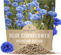 Blue Cornflower Seeds – Bachelor Buttons – Extra Large Packet – Over 5,000 Open Pollinated Non-GMO Wildflower Seeds – Centaurea cyanus