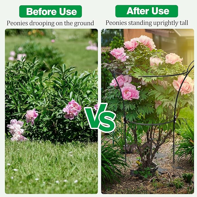 2 Pack Peony Cages and Supports Cages 13" D x 22.8" H Heavy Duty Metal Support Frame for Peonies & Roses Natural Bouquet Shape Garden Stakes for Outdoor Plants Flowers Ornamental (Black)