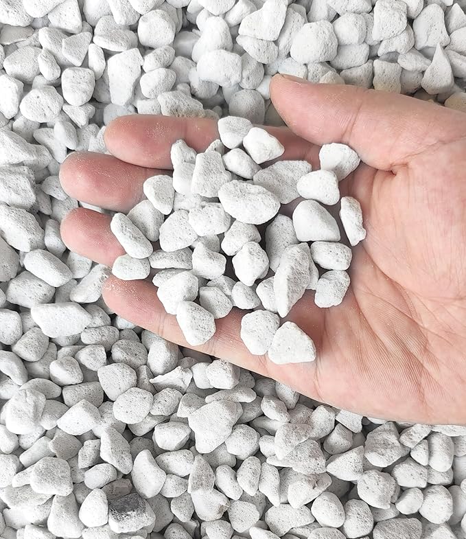 10 QT Professional Grade Horticultural Organic Perlite (10 QT, Large Size - Perlite)