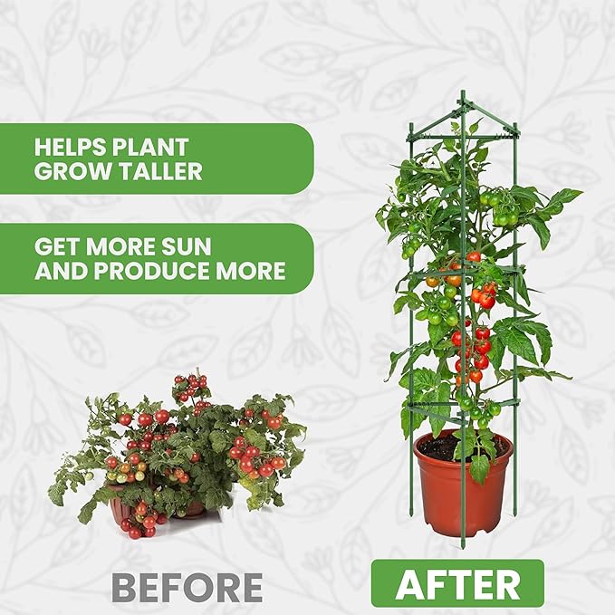 K-Brands Tomato Cage - Tomatoes Plant Stakes Support Cages, Trellis for Garden & Pots, Plant Support Structures for Vegetables and Climbing Plants (6 Pack - Tall Upto 68 inches)