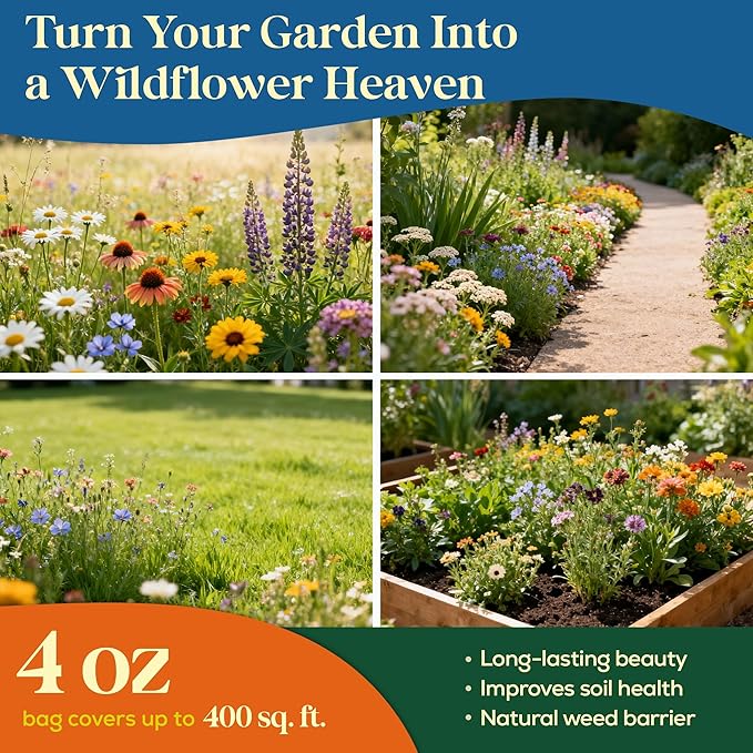 Seedphony 16 Perennial Wildflower Mix 4 oz - 100,000 Non-GMO Heirloom Wildflower Seeds for Planting Garden, Wild Flowers in Waterproof Seed Packet, Floral Seeds for Planting Indoor & Outdoor Gardening