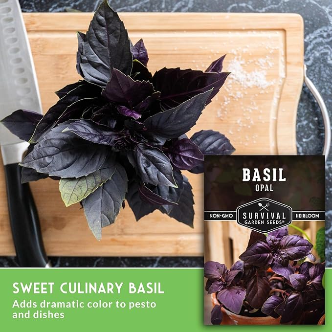 Opal Basil Seeds for Planting - Dark Opal Basil with Purple Leaves - Unique Herb Seed Variety - Heirloom, Non-GMO Herbs for Home Gardens - Survival Garden Seeds (3 Pack)