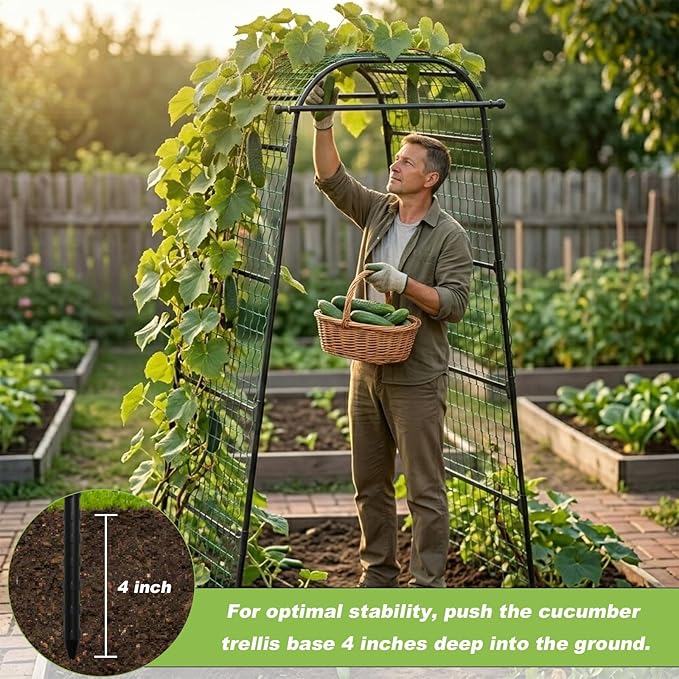 7Ft Garden Arch Trellis for Climbing Plants Outdoor, Heavy Duty Coated Metal Cucumber Trellis for Raised Beds, Tall Steel Gardening Arbor for Vegetables, Tomatoes, Grape, Bean (83’’ x 49’’ x 32’’)