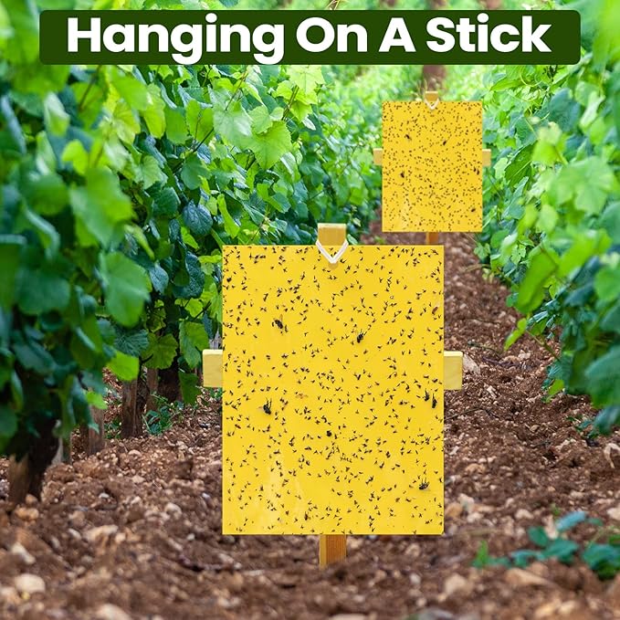 Qualirey 700 Pcs 6 x 8 Inch Yellow Sticky Traps for Plant Double Sided Sticky Trap with Twist Ties Fly Traps for Fruit Insect Fungus Bugs Indoor Outdoor