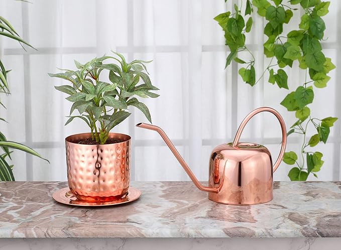 Indoor Watering Can and Planter with Plate.