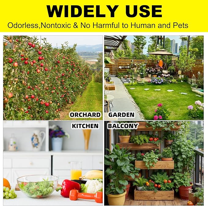 36PCS Fruit Fly Sticky Traps Fungus Gnat Traps Insect Trap for Plants Kitchen Indoor Outdoor White Flies Mosquitos Fungus Gnats Flying Insects Houseplant Gifts (Love Shape)