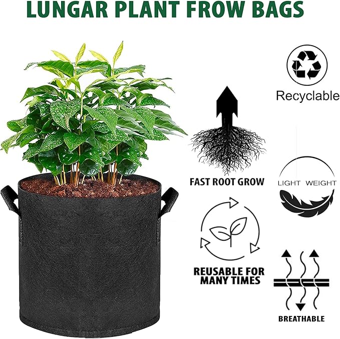Plant Grow Bags - 5 Gallon 10 Packs Planter Pot, Thickest Aeration 300G Non-Woven Fabric, Reinforced Handles for Weatherproof Nursery Pot, Enhanced Double Seam