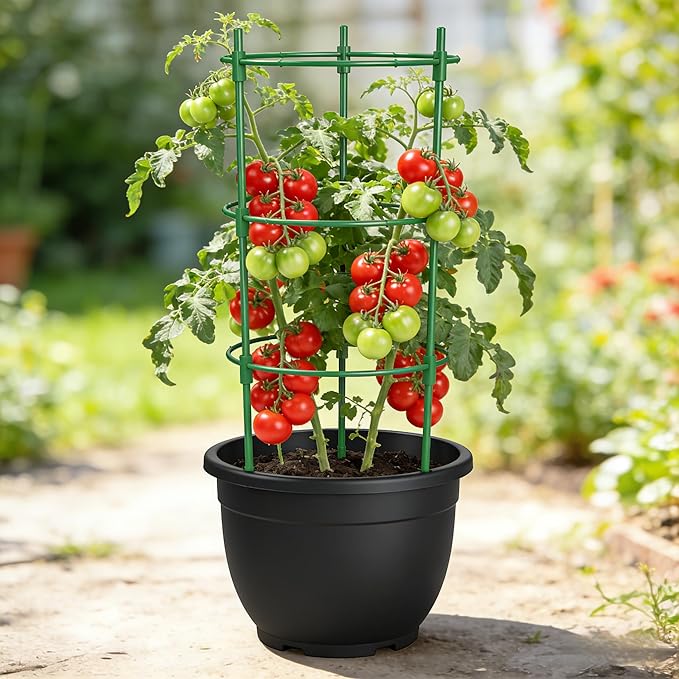 Tomato Cage Plant Support with Adjustable Rings, Orchid Stakes with Clips, Garden Trellis for Climbing Plants, Flower, Veggie, Includes Plant Ties & Clips (3 Pack, 18 Inches)