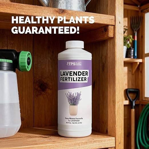 Lavender Fertilizer – Liquid Plant Food for More Blooms, Stronger Roots & Healthy Growth, 32 oz