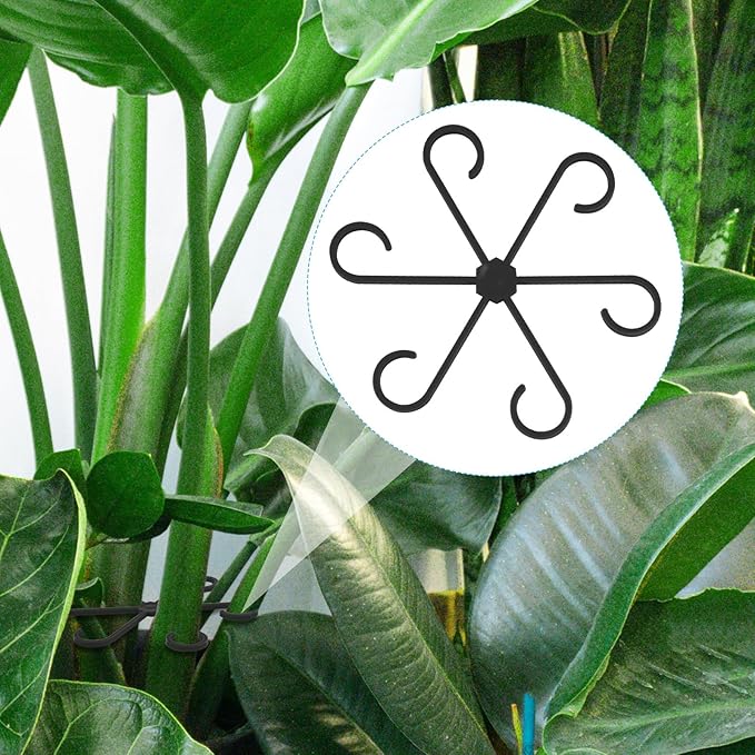 4pcs Plant Stem Support, Climbing Houseplant Leaf Support Ring Plant Climbers Stem Holders Plants Climbing Rack Plant Flower Gardening Growth Cultivation Accessories Tools(Black)