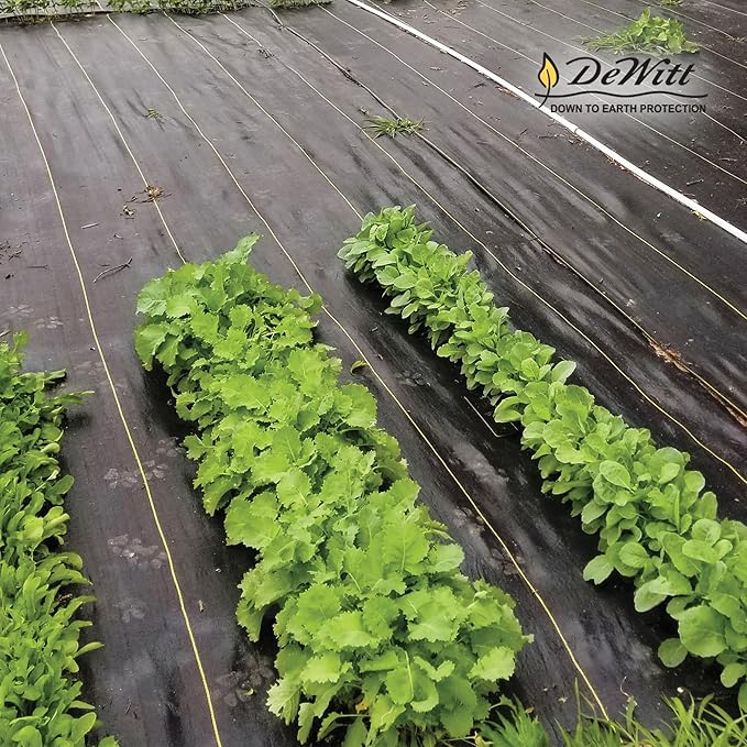 Dewitt 3-Pack Sunbelt Weed Barrier Fabric 3.2 oz, 6 x 300 Feet – Heavy-Duty Ground Cover Mat for Greenhouse Floors, Garden Rows, Raised Beds, Yard Gardening, and Outdoor Landscape Protection