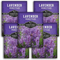 Munstead English Lavender Seeds for Planting – Compact Dwarf Hardy Perennial Herb for Indoor or Outdoor Gardens, Culinary & Fragrant Pollinator Flower - Survival Garden Seeds (5 Packs)