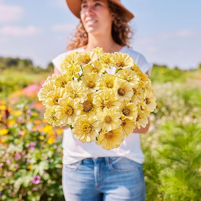 Eden Brothers Zinnia Seeds - Isabellina, Non-GMO Seeds for Planting, Packet | Low-Maintenance Flower Seeds, Plant During Spring, Zones 3, 4, 5, 6, 7, 8, 9, 10