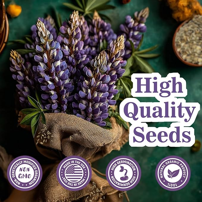 Russell Lupine Seeds (0.35oz - 1000+ Seeds) - Mixed Color Perennial Wildflower - Lupinus polyphyllus - Non-GMO Heirloom Seeds for Planting, Attracts Bees & Hummingbirds,