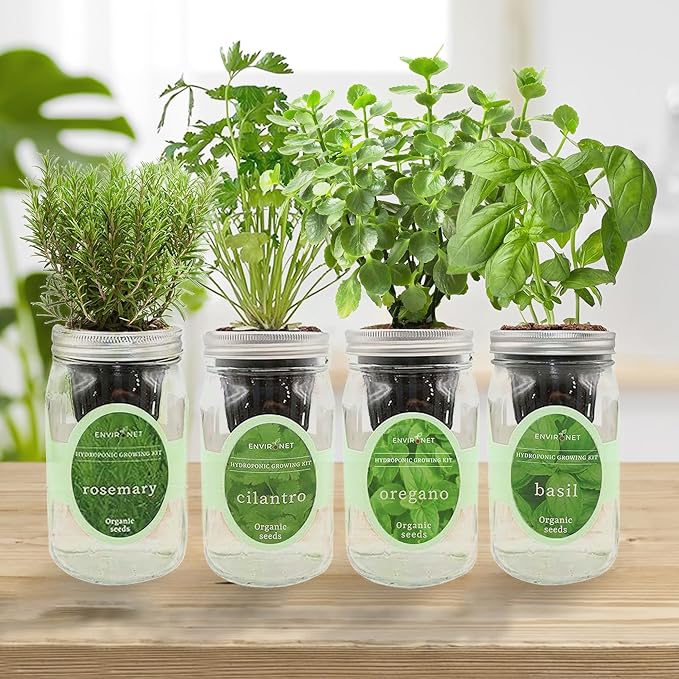 Hydroponic Mason Jar Organic Herb Seed Starter Kits - Mediterranean Herb Mix Growing Kits, Windowsill Herb Garden, Gardening Gift (Rosemary, Cilantro, Oregano, Basil)