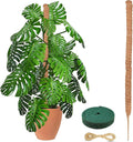 EcoNour Tall Moss Pole for Plants (1-Pack) 48-Inch | Large Monstera Plant Support for Climbing and Growth | Elevate Your Indoor Garden | Tall Plant Support for Indoor Potted Plants to Grow Upwards