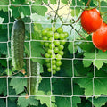 7X 30 Ft Nylon Trellis Netting, 6×6 Heavy Duty Trellis Mesh Garden Netting for Climbing Plants, Use for Tomatoes, Cucumbers, Peas, Grape Racks