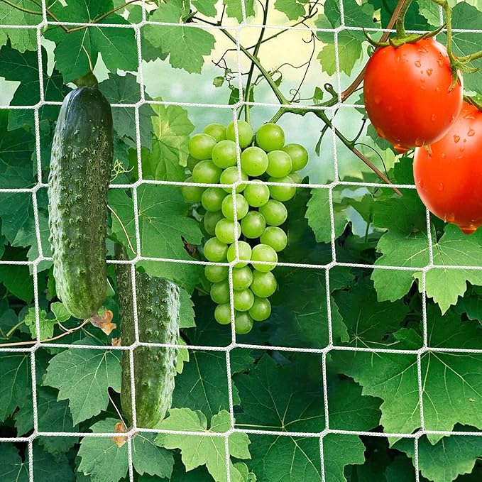 5X 30 Ft Nylon Trellis Netting, 6×6 Heavy Duty Trellis Mesh Garden Netting for Climbing Plants, Use for Tomatoes, Cucumbers, Peas, Grape Racks