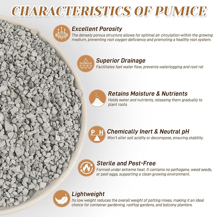 Horticultural Pumice for Plants, 8 Quarts Bag Natural Soil Amendment, 1/4" Particle Size for Succulent, Cactus, Bonsai Tree, Orchid Potting Mix