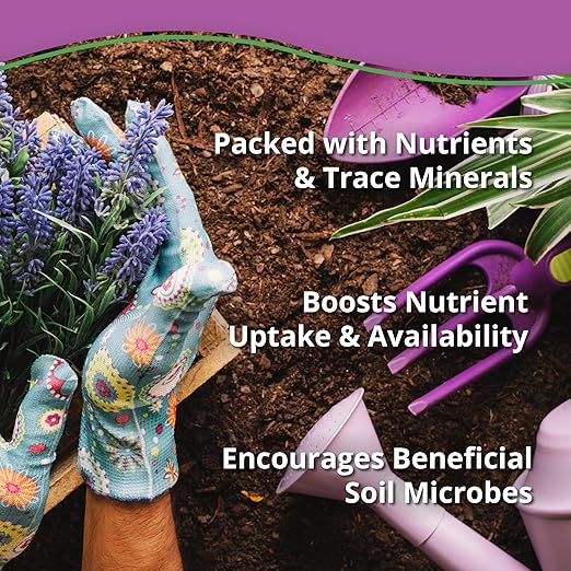 Neem Bliss (5lbs) + Kelp Meal (5lbs) - Kelp Meal Organic Fertilizer & Neem Cake for Plants - Kelp Fertilizer for Plants - Neem Seed Meal Fertilizer - Natural Plant Food Rich in Vitamins & Nutrients