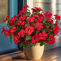 19 Inch Artificial Fake Flowers for Outdoor,4 Pcs Red Faux Silk Petunias Spring Flowers for Outside for Indoor Porch Planter Front Door Garden Patio Window Box Home Decor