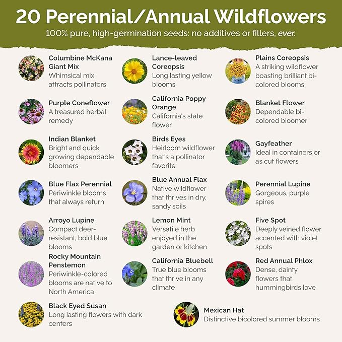 Eden Brothers North American Native Wildflower Mixed Seeds for Planting, 5 lb, 2,400,000+ Seeds with Birds Eyes, Lupine | Attracts Pollinators, Plant in Spring or Fall, Zones 3, 4, 5, 6, 7, 8, 9, 10
